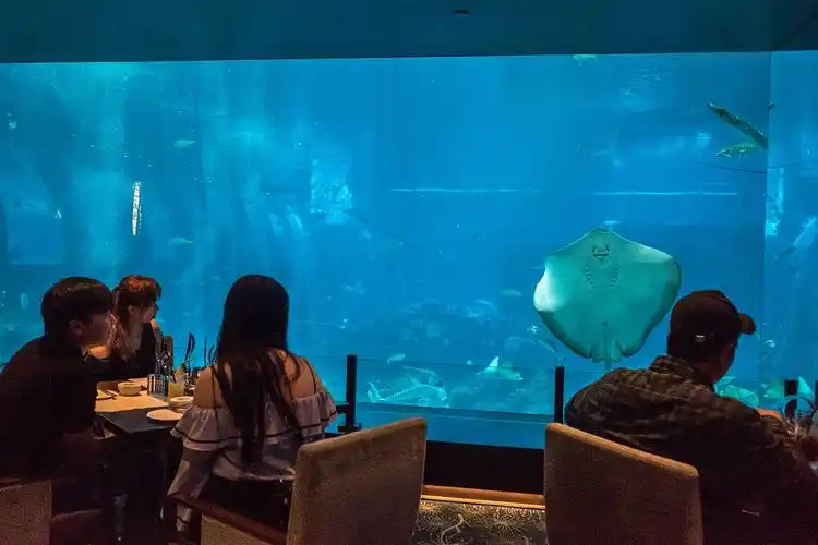 最浪漫的水下餐厅 "海之味",体现了最新的餐饮概念,以清淡,简约和健康