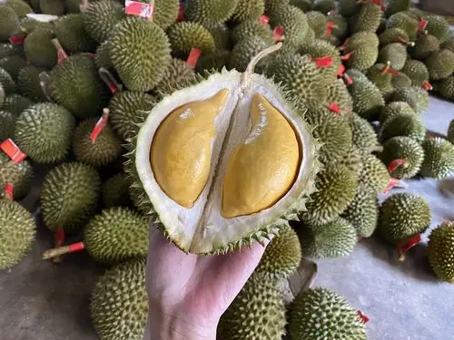 托曼尼榴莲_托曼尼