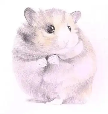 仓鼠刻的仓鼠图卡通仓鼠png免扣元素金丝熊妈妈和孩子animal,天竺鼠