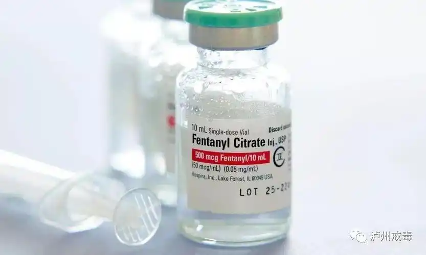 强戒所毒品小课堂第五课芬太尼