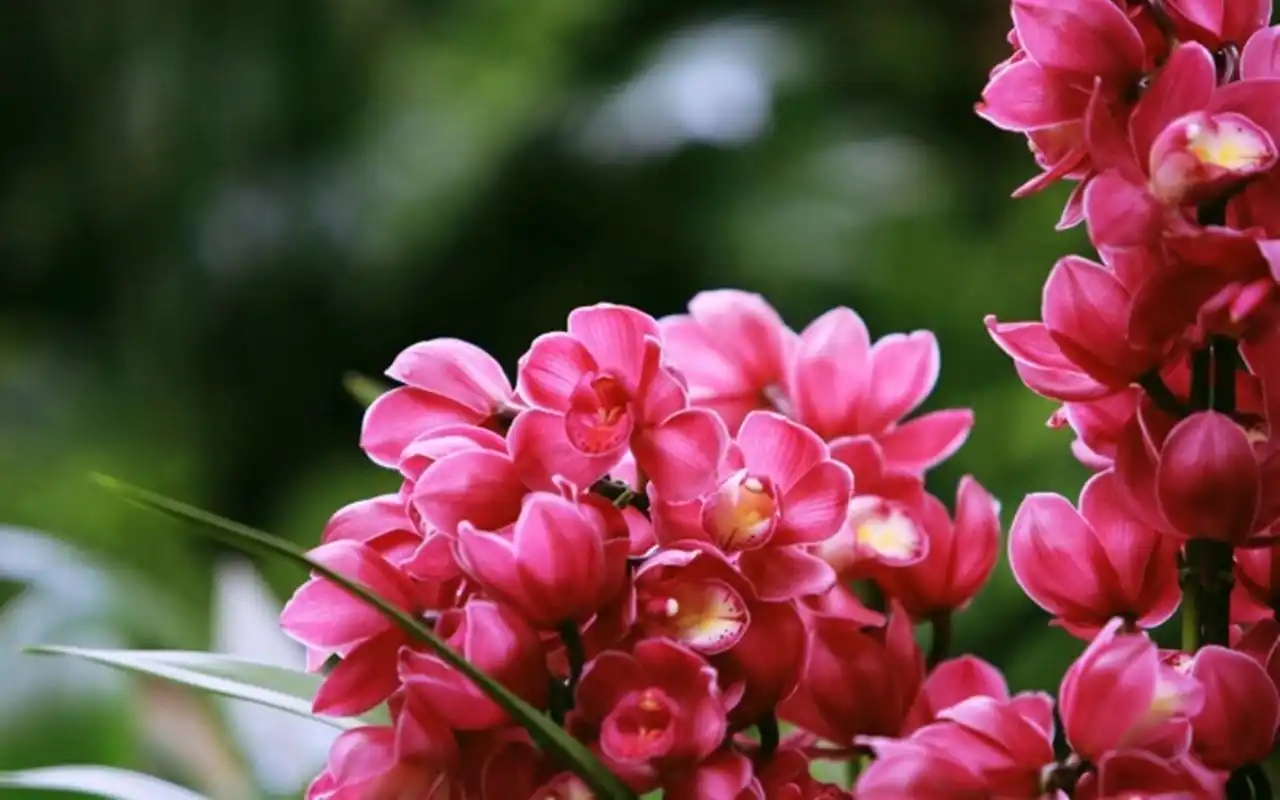 议论文的结构详解