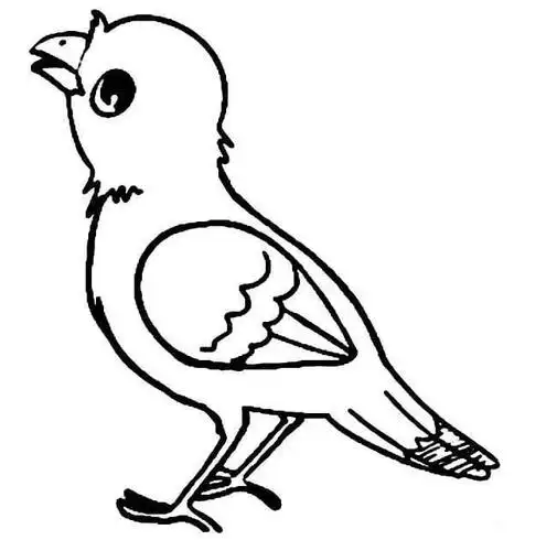 唱歌的小鸟简笔画简单
