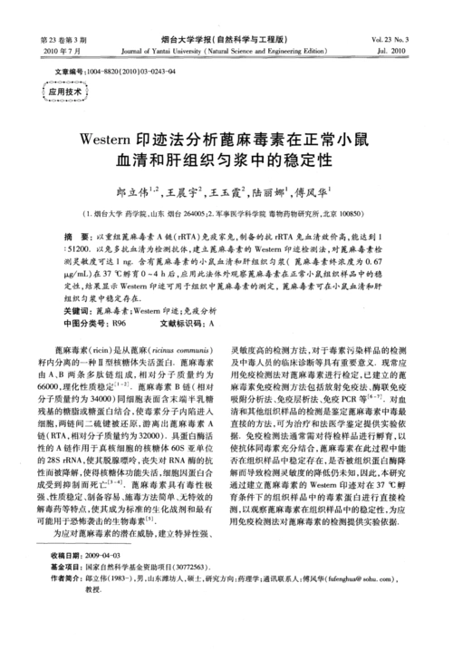 western印迹法分析蓖麻毒素在正常小鼠血清和肝组织匀浆中的稳定性