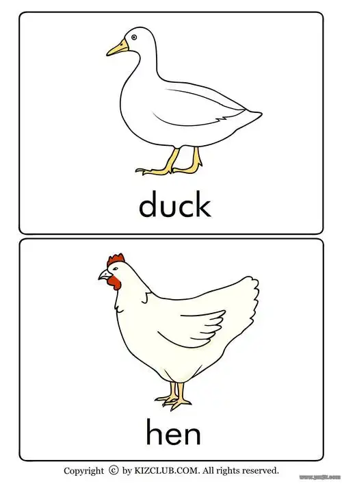 全套动物英文单词卡片高清版可打印适合孩子英语启蒙学习的有趣卡片