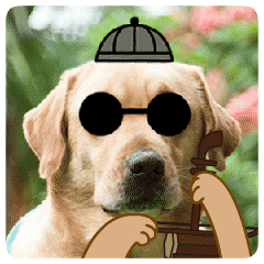 神犬小七gif狗gif小七gif搞笑gif动漫gif拉二胡gif