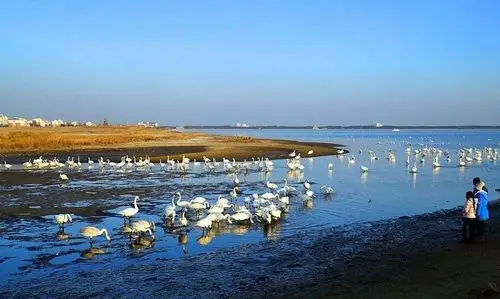 库尔勒市旅游景点有哪些