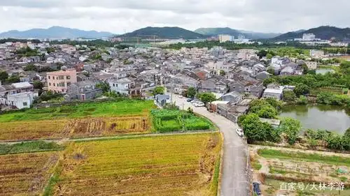 广东珠海:斗门镇大濠涌村,保留怎样的风景