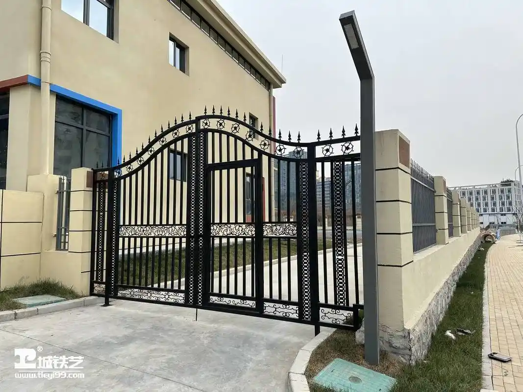 铁艺大门|庭院门|小区大门tdm2201-实景拍摄-图