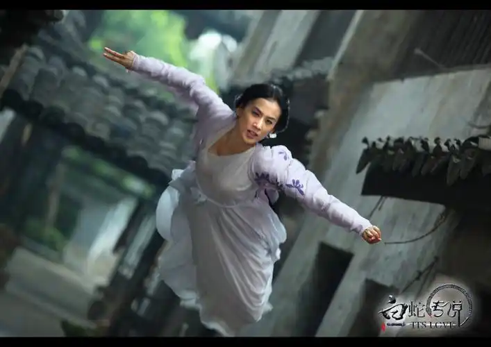 p>《白蛇传说》是中国巨力影视于2011年出品的魔幻爱情动作电影.