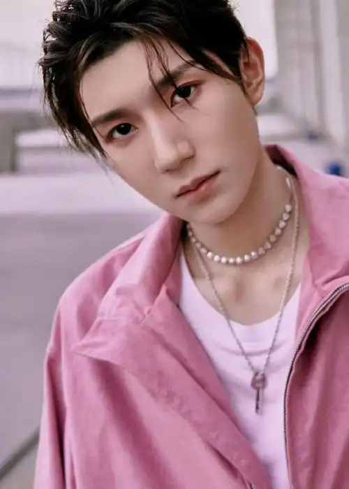 王源和粉色的适配度