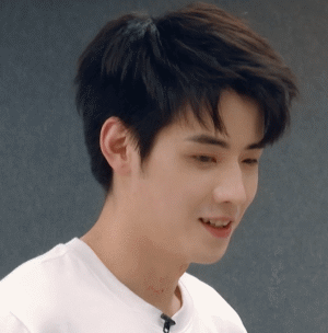 夏之光的莞莞类卿2.