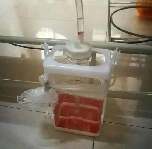 观察水封瓶的颜色,性状及水柱的波动情况.