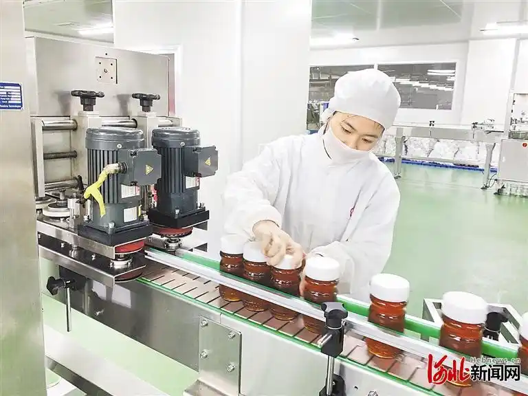 百年"百花""甜蜜"转身——百花蜂蜜廊坊生产基地探访