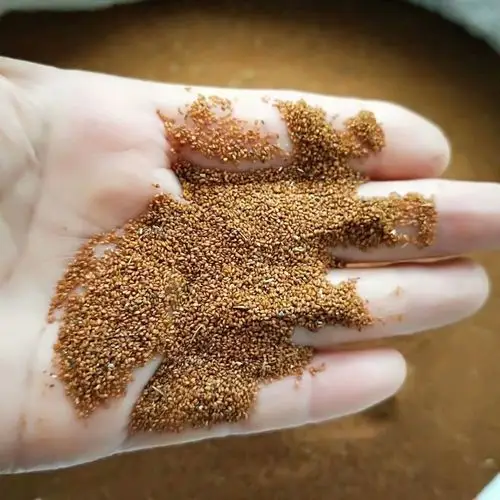 中药材葶苈子 每件500克