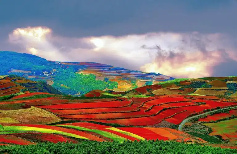 雨后七彩梯田 - 自然类 摄影大赛2015 - 国家地理中文网