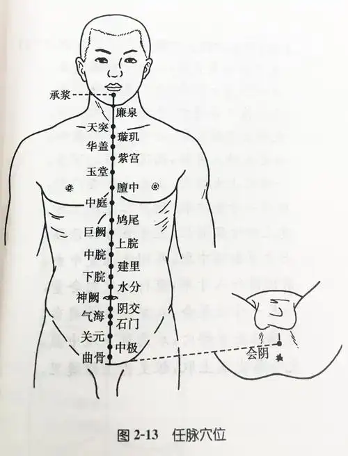 任脉穴位分寸歌
