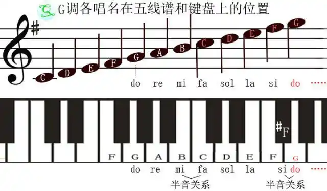 巧识五线谱06:关于调号——五线谱中,c调和g调是怎样标记的?
