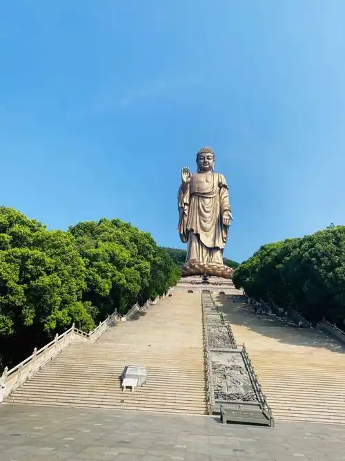 全球最大的户外铜佛之一,高88米,是中国第二高的巨型佛像_景区_灵山大