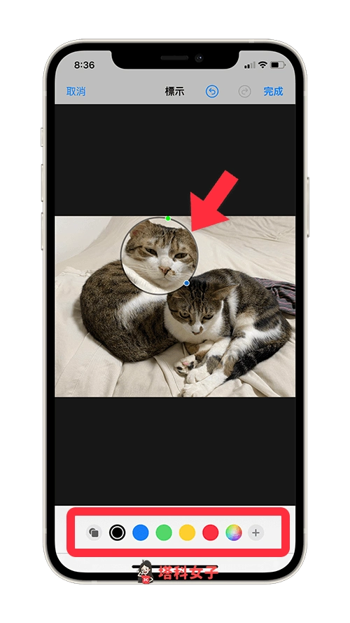 iphone 局部放大照片某一区域:移动放大镜