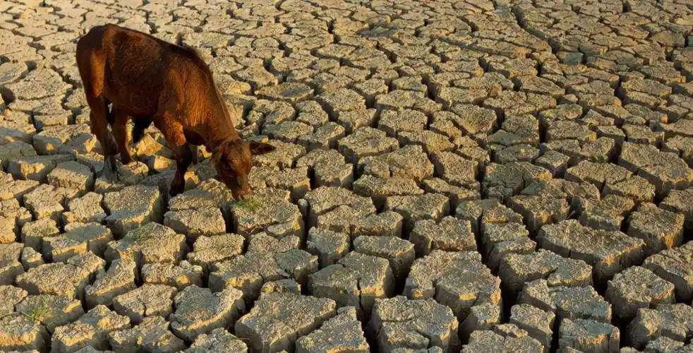 报告,表示在2050年的时候,全球将有大约50亿人面临水资源短缺的问题