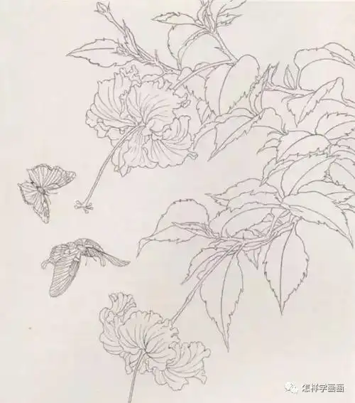 工笔花鸟入门教程:工笔画蝴蝶绘制步骤