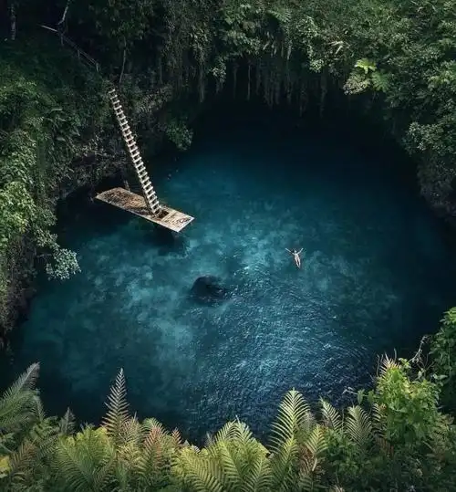 全球最美"碧池"排行榜,有颜任性就这么作!