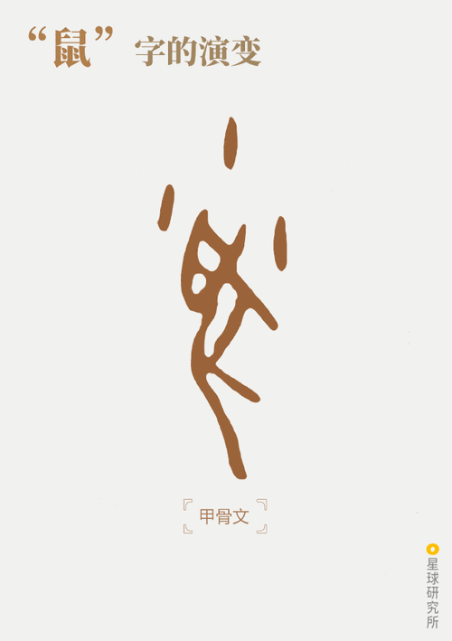 (甲骨上的"鼠"字,摄影师@苏李欢) 在"鼠"字的演变过程中 张开的嘴巴和