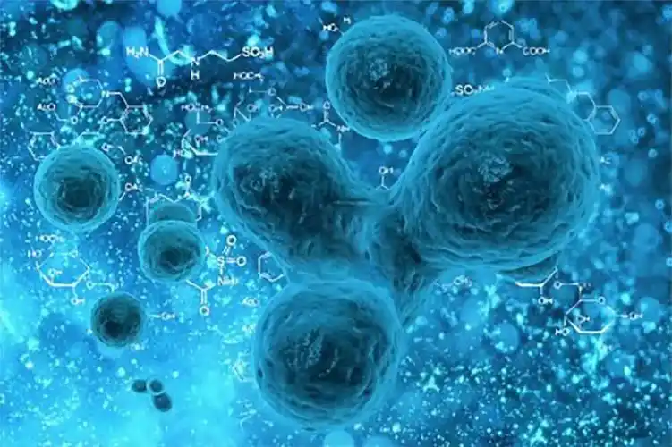 干细胞临床实验数据 关注我避免躺坑