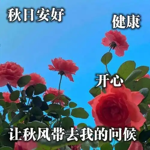 下午好动态表情图:最新下午好问候语表情大全,朋友们大家下午好问候