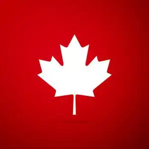 加拿大象征枫叶.平面设计.矢量插图照片