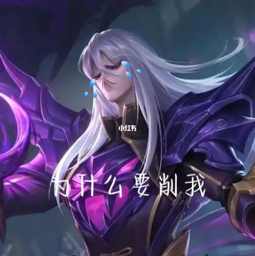 司马懿表情包9490