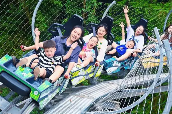 丛林过山车雅安碧峰峡潮玩打卡新地标