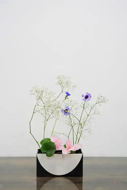 女神节班级插花 - 美篇