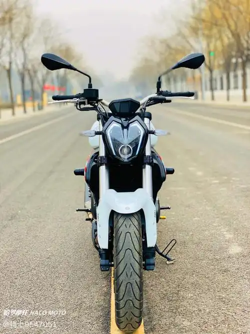 二手摩托车贝纳利 蓝宝龙 bn 302 s