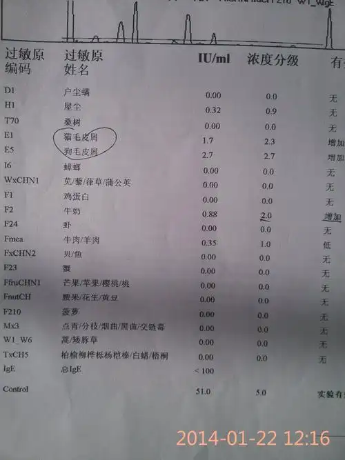 过敏体质 宝宝19个月