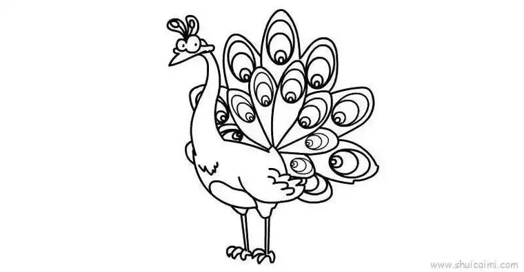 孔雀简笔画最新教的