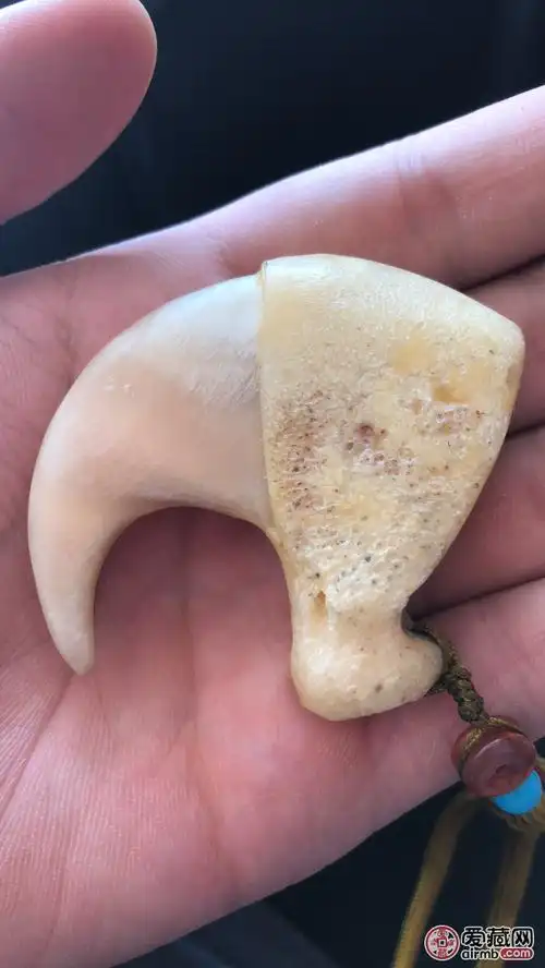 请专家鉴定下是不是真虎爪