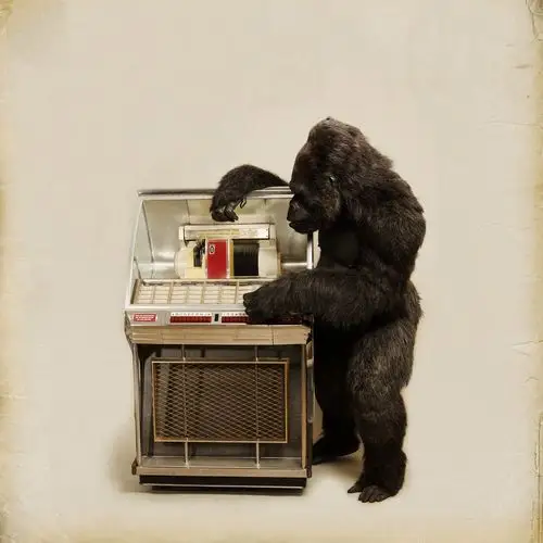 一支不死乐队的新生 - mono猫弄