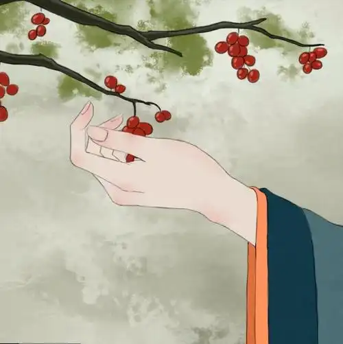 b站二维动画红豆自截