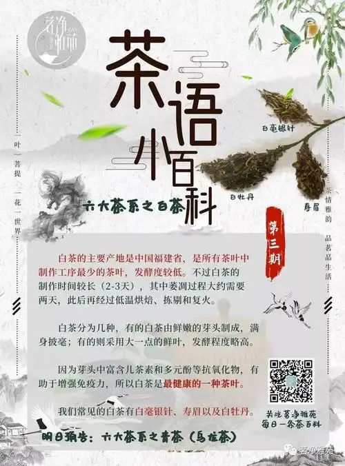 日精进茶语小百科第三期六大茶系之白茶