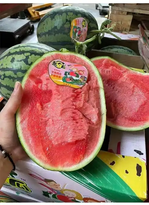 新鲜战神甘美4k盘个瓜麒麟西瓜海南大西瓜弭黎 3斤【图片 价格 品牌