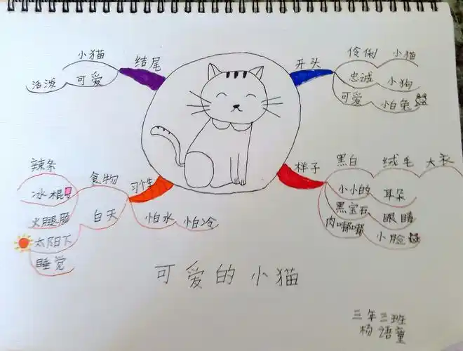 三年三班小朋友思维导图可爱的小动物