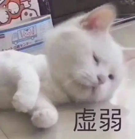 引t虚弱(猫咪表情包)
