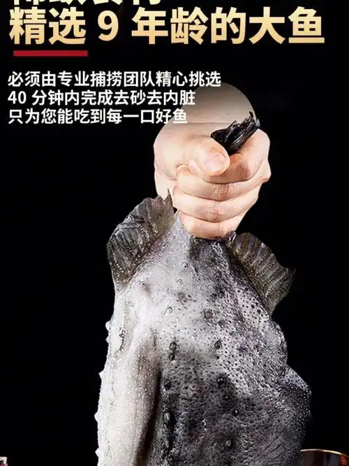 超级无敌好吃的海参斑