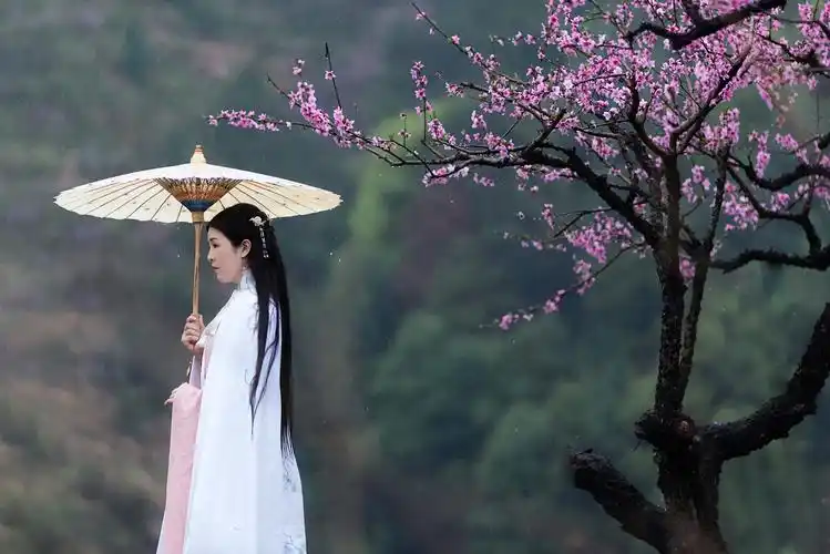 桃花诺歌词_桃花诺邓紫棋歌词_桃花诺歌词寓意是什么