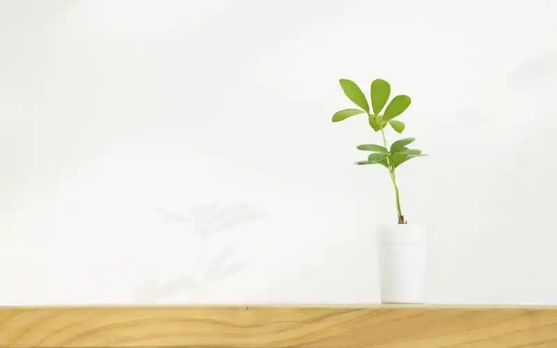 最右买粉网站,24小时在线自助下单平台抖音,快手业务