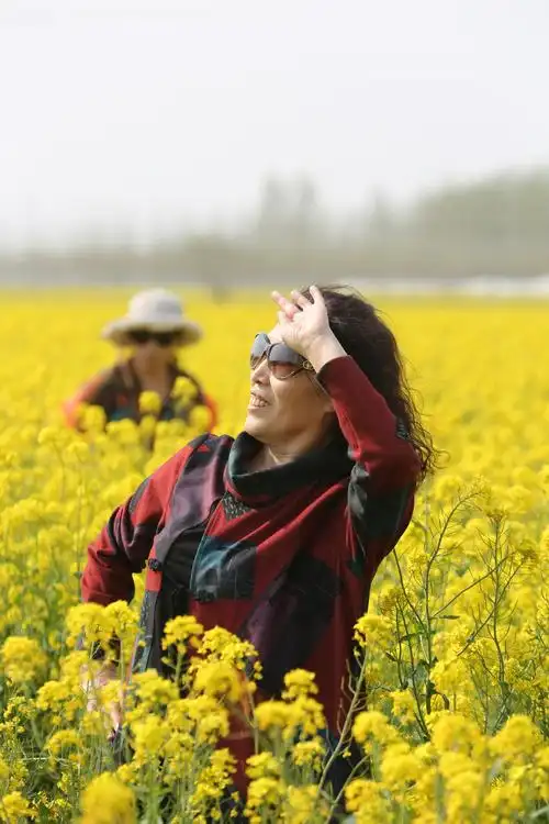 春天油菜花开遍地黄,姐妹们穿着美丽的衣服在花丛中拍照,美美哒