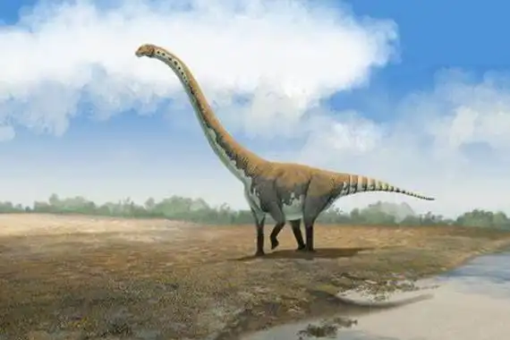 峨眉龙四川巨型恐龙长20米脖子是尾巴15倍长