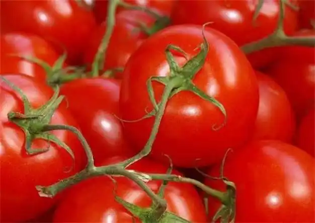 西红柿是生吃好还是熟吃好?提醒:这4类人,建议少吃或不吃|水果|膳食纤