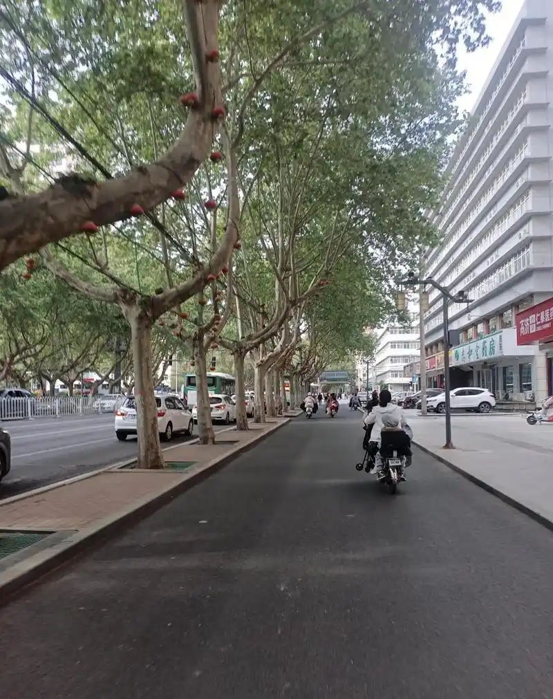 邯郸街景随手拍 邯郸的马路边,很安全.